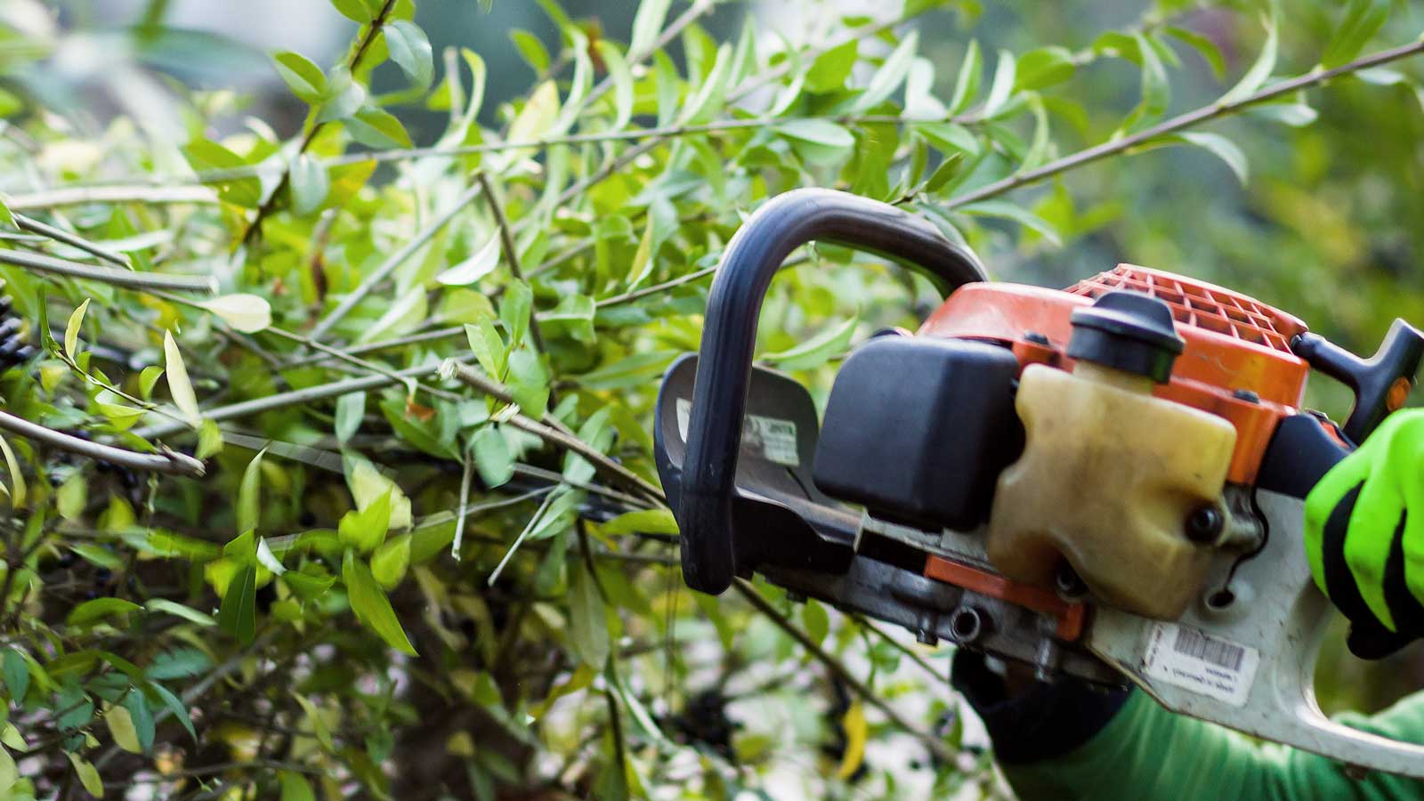 Commercial Hedge Trimming Services Worcestershire