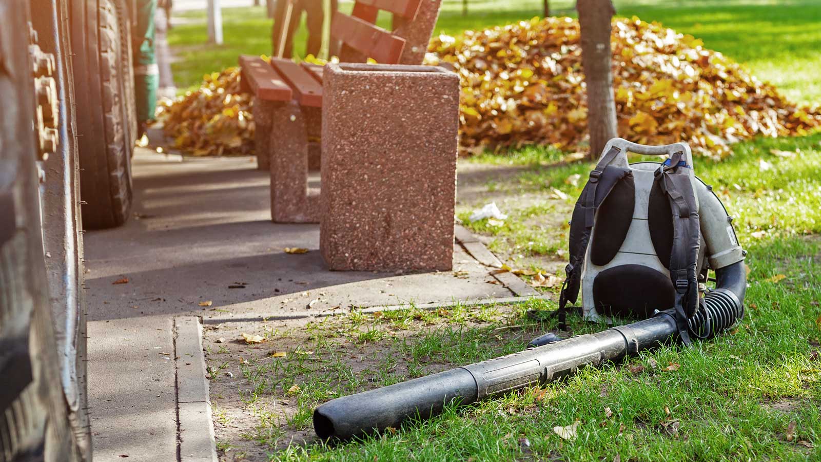 Commercial Leaf Clearance Services Worcestershire